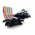 Cable Dupont, hembra a macho 20cm x 20Und