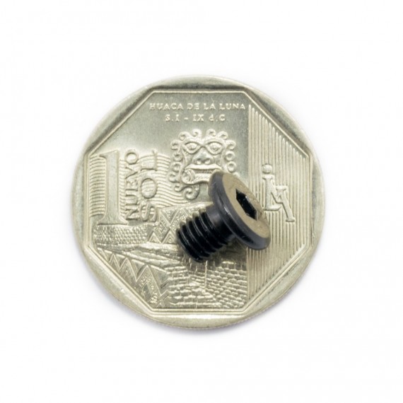 Tornillo de bajo perfil M5*6