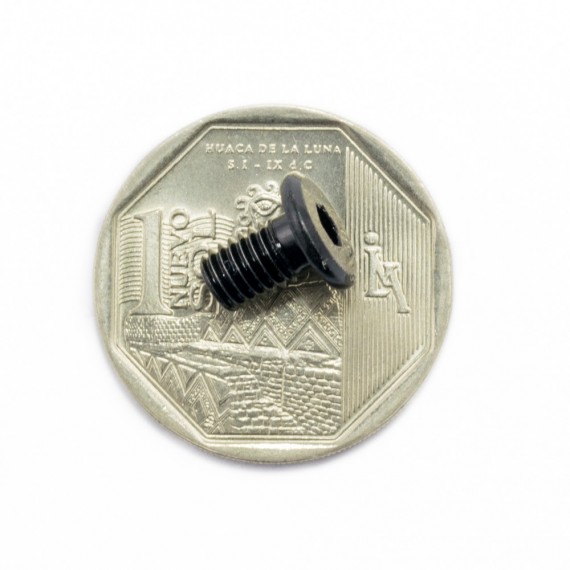 Tornillo de bajo perfil M5*8