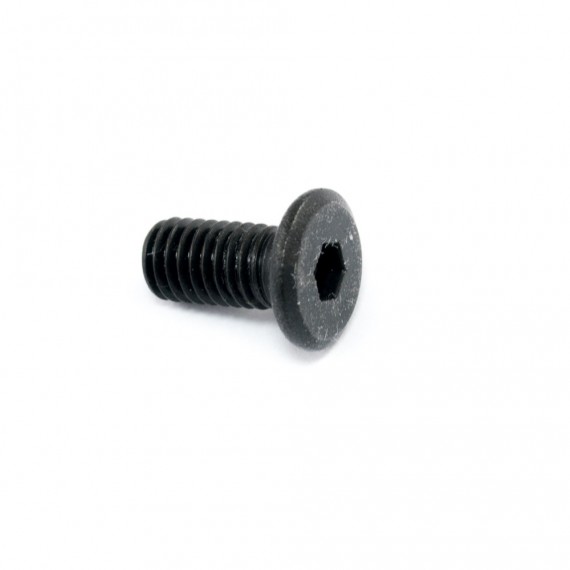 Tornillo de bajo perfil M5*10