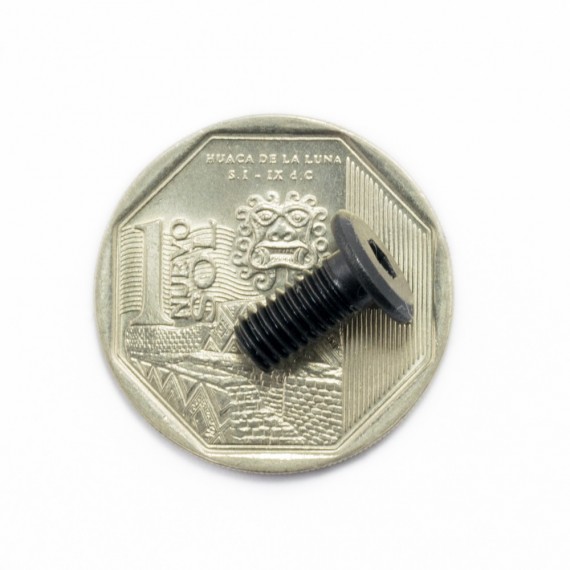 Tornillo de bajo perfil M5*10