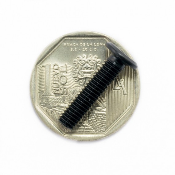 Tornillo de bajo perfil M5*25