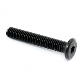 Tornillo de bajo perfil M5*30