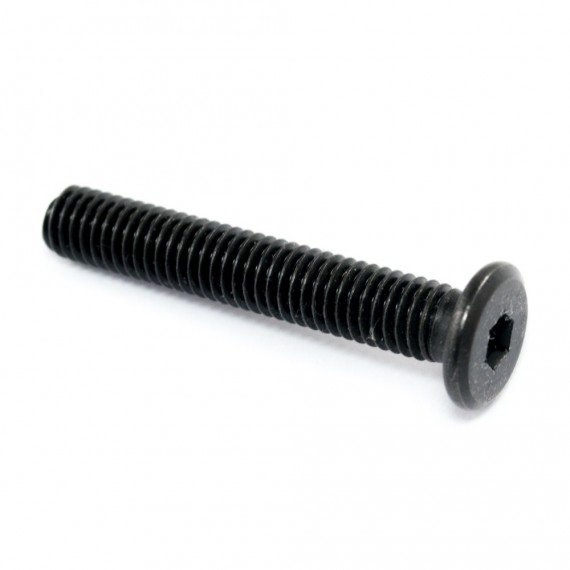 Tornillo de bajo perfil M5*30