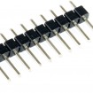 Header macho 11mm - 40 pin