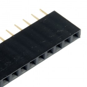 Header 40 pines hembra