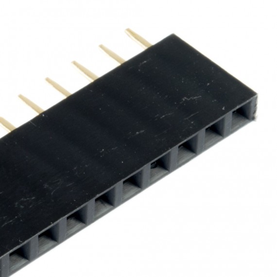 Header 40 pines hembra