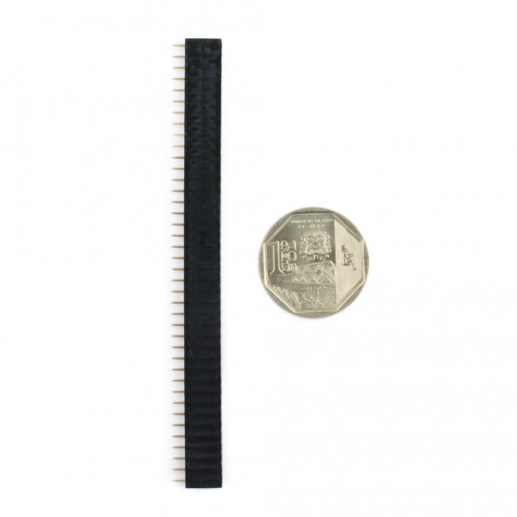 Header 40 pines hembra