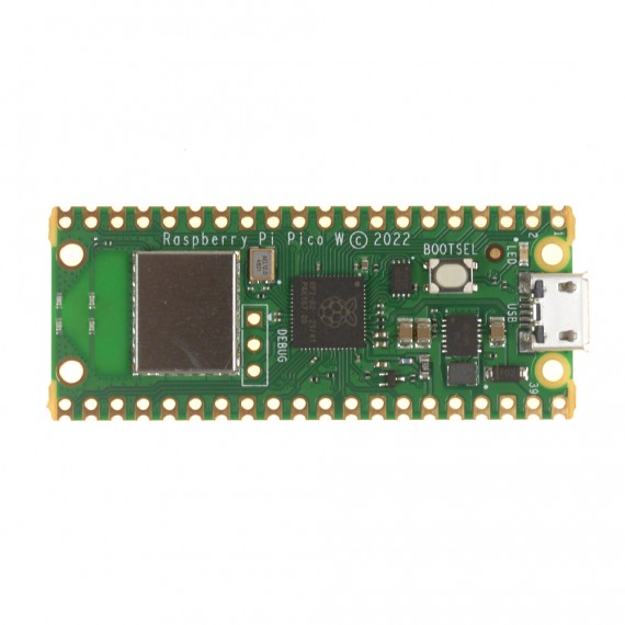 Raspberry Pi PICO W