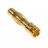 Conector bullet 4mm Macho